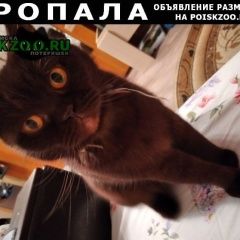 Подробнее об объявлении «Пропала кошка Астрахань» Фото: пропала кошка Британская короткошерстная «Пропала кошка Астрахань» в г. Астрахань