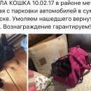 Подробнее об объявлении «Пропала кошка черная пушистая в малиновой переноске Москва» Фото: пропала кошка  «Пропала кошка черная пушистая в малиновой...» в г. Москва