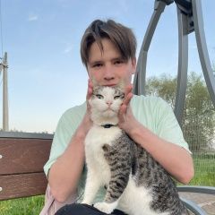 Подробнее об объявлении «Пропал кот метис, брюс Альметьевск» Фото: пропала кошка  «Пропал кот метис, брюс Альметьевск» в г. Альметьевск