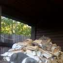 Подробнее об объявлении «Чехов Пропал кот» Фото: пропала кошка  «Чехов Пропал кот» в г. Чехов