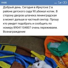 Подробнее об объявлении «Иркутск Пропал кот помогите найти котика» Фото: пропала кошка  «Иркутск Пропал кот помогите найти котика» в г. Иркутск