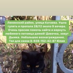 Подробнее об объявлении «Пропала кошка Ростов-на-Дону» Фото: пропала кошка  «Пропала кошка Ростов-на-Дону» в г. Ростов-на-Дону