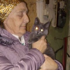 Подробнее об объявлении «Москва Пропала кошка» Фото: пропала кошка  «Москва Пропала кошка» в г. Москва