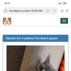 Подробнее об объявлении «Тула Пропал кот в районе тц парадиз» Фото: пропала кошка  «Тула Пропал кот в районе тц парадиз» в г. Тула