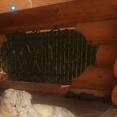 ����: ������� �����  �������� ������ ��� ��� ������ � �. �������