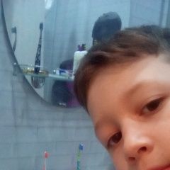 Подробнее об объявлении «Пропала кошка Новороссийск» Фото: пропала кошка Британская короткошерстная «Пропала кошка Новороссийск» в г. Новороссийск