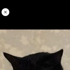 ����: ������� �����  ������� ��� ������ � �. ������