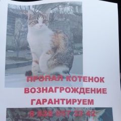 ����: ������� �����  ���������� ������� ����� � �. ���������