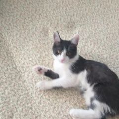 ����: ������� �����  ������� ������ �������� � �. �������