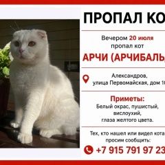 ����: ������� �����  �������� ����� ��������� ����������� � �. �����������