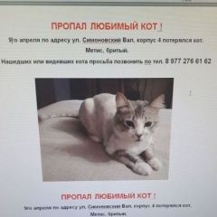 Подробнее об объявлении «Пропал кот Москва» Фото: пропала кошка  «Пропал кот Москва» в г. Москва