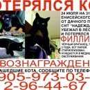 Подробнее об объявлении «Красноярск Пропала кошка» Фото: пропала кошка  «Красноярск Пропала кошка» в г. Красноярск