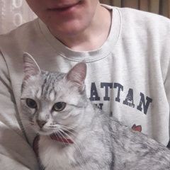Подробнее об объявлении «Пропала кошка поселок российский Краснодар» Фото: пропала кошка Египетский мау «Пропала кошка поселок российский Краснодар» в г. Краснодар