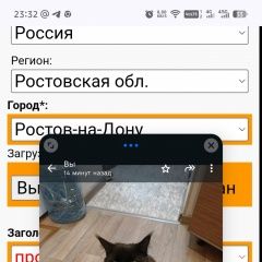 Подробнее об объявлении «Пропала кошка Ростов-на-Дону» Фото: пропала кошка  «Пропала кошка Ростов-на-Дону» в г. Ростов-на-Дону