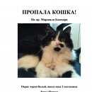 Подробнее об объявлении «Пропала кошка в спб, пр.маршала блюхера Санкт-Петербург» Фото: пропала кошка  «Пропала кошка в спб, пр.маршала блюхера...» в г. Санкт-Петербург