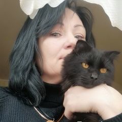 Подробнее об объявлении «Волгоград Пропал кот» Фото: пропала кошка  «Волгоград Пропал кот» в г. Волгоград