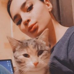 Подробнее об объявлении «Москва Пропала кошка перовская ул д 5» Фото: пропала кошка  «Москва Пропала кошка перовская ул д 5» в г. Москва