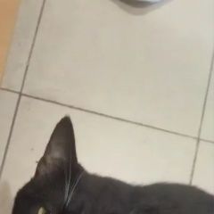 ����: ������� �����  ������� ������ ��� ������ ������ � �. ������