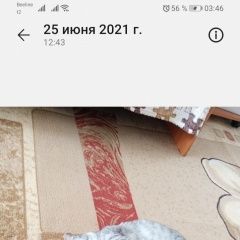 ����: ������� �����  �������� ����� ������ � �. ������