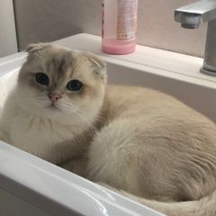 ����: ������� �����  ����� ������ ��� � �. ����