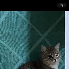 ����: ������� �����  �������� ����� �� ������ ���� ������� � �. �������
