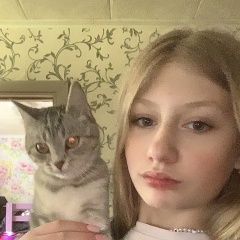 Подробнее об объявлении «Тула Пропала кошка» Фото: пропала кошка  «Тула Пропала кошка» в г. Тула