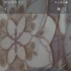 Подробнее об объявлении «Пропал кот.. Можайск» Фото: пропала кошка  «Пропал кот.. Можайск» в г. Можайск