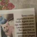 Подробнее об объявлении «Пропал кот Железнодорожный (Московск.)» Фото: пропала кошка  «Пропал кот Железнодорожный (Московск.)» в г. Железнодорожный (Московск.)