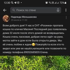 Подробнее об объявлении «Пропала кошка Санкт-Петербург» Фото: пропала кошка  «Пропала кошка Санкт-Петербург» в г. Санкт-Петербург