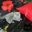 Подробнее об объявлении «Адлер Пропал кот-британец» Фото: пропала кошка Британская короткошерстная «Адлер Пропал кот-британец» в г. Адлер