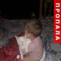Подробнее об объявлении «Пропала кошка Санкт-Петербург» Фото: пропала кошка Тонкинская «Пропала кошка Санкт-Петербург» в г. Санкт-Петербург