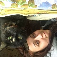 Подробнее об объявлении «Тверь Пропала кошка» Фото: пропала кошка  «Тверь Пропала кошка» в г. Тверь