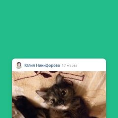 Подробнее об объявлении «Москва Пропала кошка нюша» Фото: пропала кошка  «Москва Пропала кошка нюша» в г. Москва