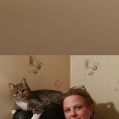 Подробнее об объявлении «Пропала кошка 1 год полосатая с бел. лапками про Москва» Фото: пропала кошка  «Пропала кошка 1 год полосатая с бел. лапками...» в г. Москва