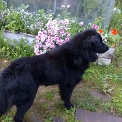 ����: ������� ������  ���������� ������� ������ ������� � �. ���������