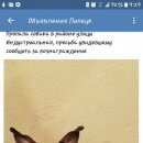 Подробнее об объявлении «Пропала собака кобель Липецк» Фото: пропала собака  «Пропала собака кобель Липецк» в г. Липецк