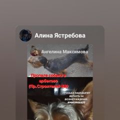 Подробнее об объявлении «Пенза Пропала собака кобель йоркширский терьер» Фото: пропала собака Йоркширский терьер «Пенза Пропала собака кобель йоркширский терьер» в г. Пенза