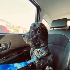 ����: ������� ������ ���������� �����-�������� �������� ������ ������ ����. ����� ��������...� � �. ���������