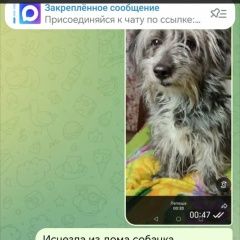 ����: ������� ������  �������� ������� ������ ������� ���� � � � �. �������