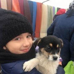 Подробнее об объявлении «Пропала собака Орехово-Зуево» Фото: пропала собака  «Пропала собака Орехово-Зуево» в г. Орехово-Зуево