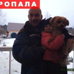 Подробнее об объявлении «Пропала собака кобель Санкт-Петербург» Фото: пропала собака Йоркширский терьер «Пропала собака кобель Санкт-Петербург» в г. Санкт-Петербург