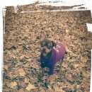 Подробнее об объявлении «Симферополь Пропала собака кобель» Фото: пропала собака Той-терьер «Симферополь Пропала собака кобель» в г. Симферополь