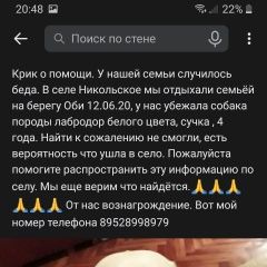 Подробнее об объявлении «Пропала собака крик помощи Томск» Фото: пропала собака Лабрадор ретривер «Пропала собака крик помощи Томск» в г. Томск