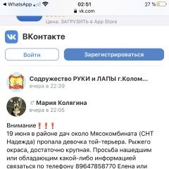 Подробнее об объявлении «Коломна Пропала собака» Фото: пропала собака Той-терьер «Коломна Пропала собака» в г. Коломна