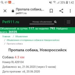 Подробнее об объявлении «Пропала собака кобель Новороссийск» Фото: пропала собака Шар-пей «Пропала собака кобель Новороссийск» в г. Новороссийск