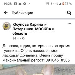 Подробнее об объявлении «Пропала собака французский бульдог бусинка Москва» Фото: пропала собака Французский бульдог «Пропала собака французский бульдог бусинка Москва» в г. Москва