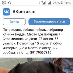 Подробнее об объявлении «Пропала собака кобель Самара» Фото: пропала собака Лабрадор ретривер «Пропала собака кобель Самара» в г. Самара