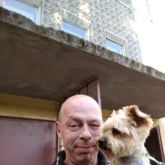 Подробнее об объявлении «Пропала собака кобель йоркширский терьер. Санкт-Петербург» Фото: пропала собака Йоркширский терьер «Пропала собака кобель йоркширский терьер....» в г. Санкт-Петербург