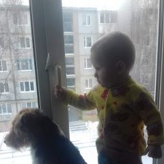 Подробнее об объявлении «Пропала собака кобель помогите найти пожалуйста. Михайлов» Фото: пропала собака Фокстерьер «Пропала собака кобель помогите найти...» в г. Михайлов