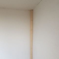 Подробнее об объявлении «Пропала собака Королев» Фото: пропала собака  «Пропала собака Королев» в г. Королев